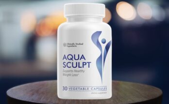 AquaSculpt